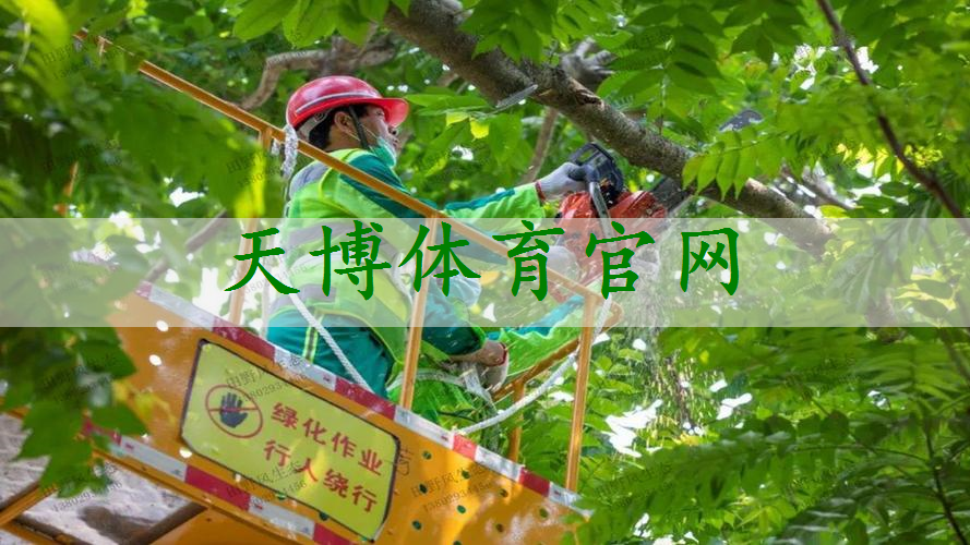 如何进行园林绿化工程的植物配置和植物保养